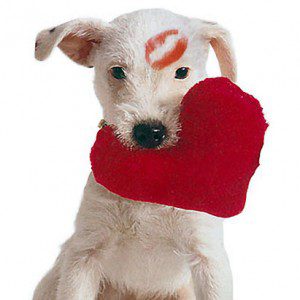 Valentines-Day-Gift-Wallpapers